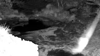 Still 2 from this detection