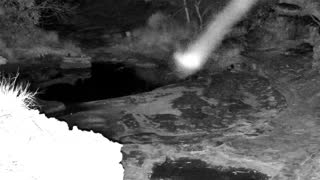 Still 1 from this detection