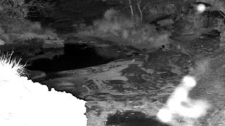 Still 3 from this detection