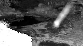 Still 1 from this detection