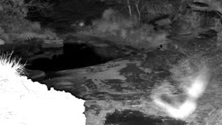 Still 2 from this detection