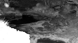 Still 2 from this detection