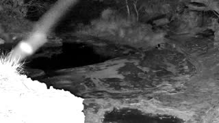 Still 1 from this detection
