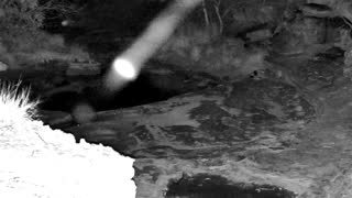 Still 1 from this detection