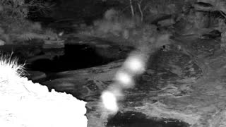 Still 2 from this detection