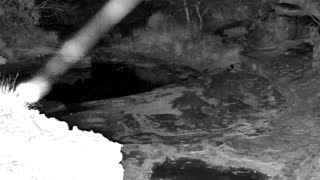 Still 3 from this detection