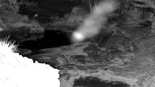 Still 2 from this detection