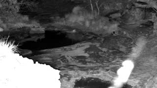 Still 1 from this detection