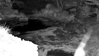 Still 1 from this detection