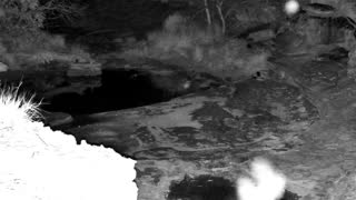 Still 2 from this detection
