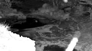 Still 3 from this detection