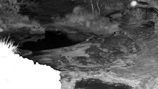 Still 2 from this detection