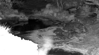 Still 2 from this detection