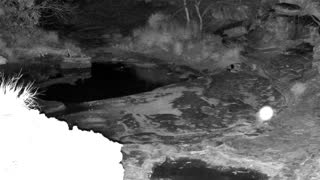 Still 1 from this detection