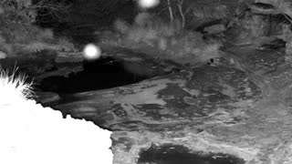 Still 1 from this detection