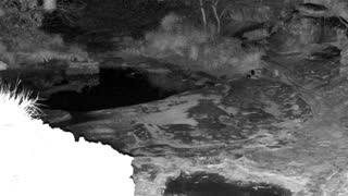 Still 2 from this detection