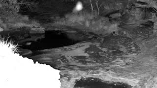 Still 1 from this detection
