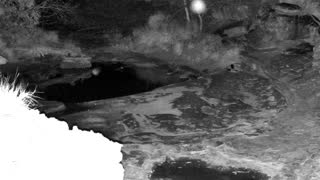 Still 2 from this detection