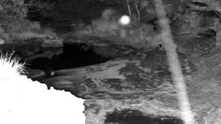 Still 2 from this detection