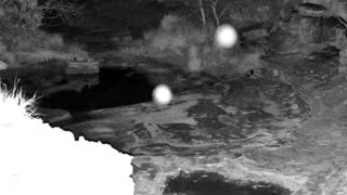 Still 1 from this detection