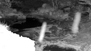 Still 1 from this detection
