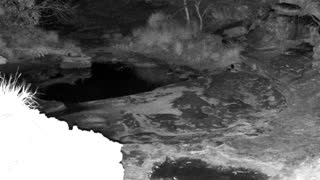 Still 2 from this detection