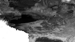 Still 3 from this detection