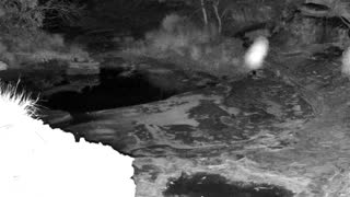 Still 2 from this detection