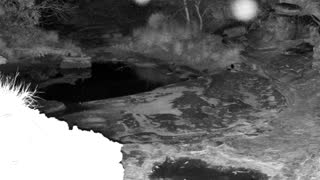 Still 1 from this detection