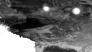 Still 1 from this detection