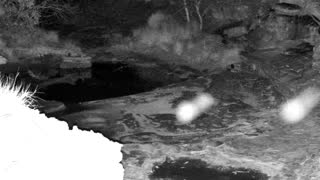 Still 2 from this detection