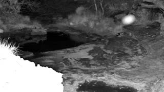 Still 3 from this detection