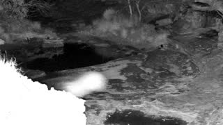 Still 2 from this detection