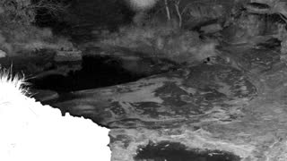 Still 3 from this detection