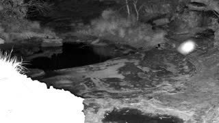 Still 1 from this detection