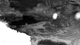 Still 2 from this detection