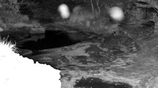 Still 3 from this detection