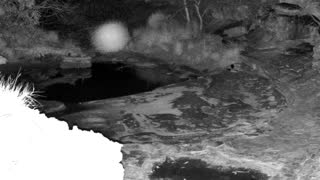 Still 1 from this detection
