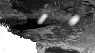 Still 2 from this detection