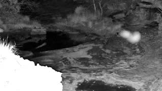 Still 3 from this detection