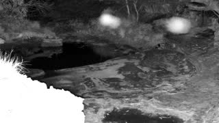 Still 2 from this detection