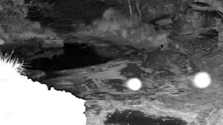 Still 1 from this detection