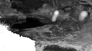 Still 2 from this detection