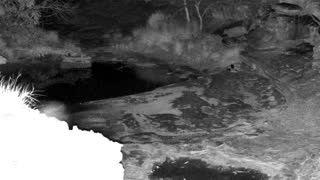 Still 1 from this detection