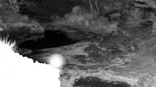 Still 2 from this detection