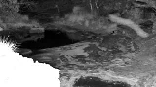 Still 1 from this detection
