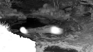 Still 2 from this detection