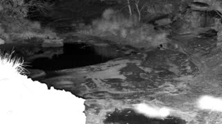 Still 1 from this detection