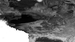 Still 1 from this detection
