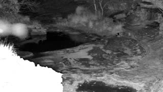 Still 1 from this detection